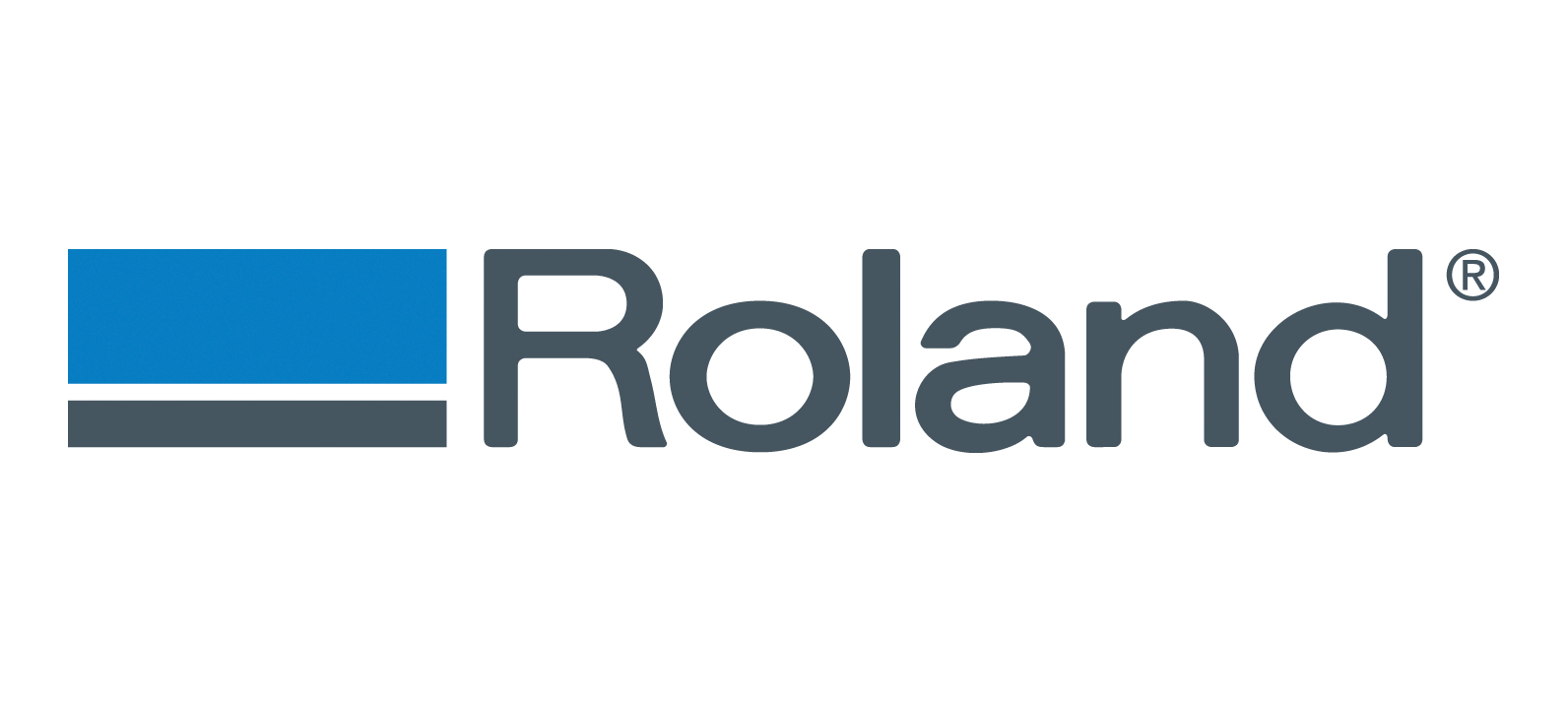 Roland DG Logo
